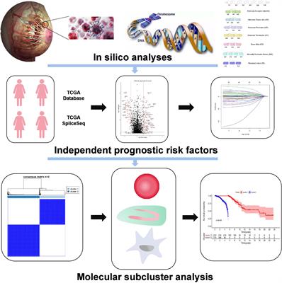 Correlations Between the Characteristics of Alternative Splicing Events, Prognosis, and the Immune Microenvironment in Breast Cancer